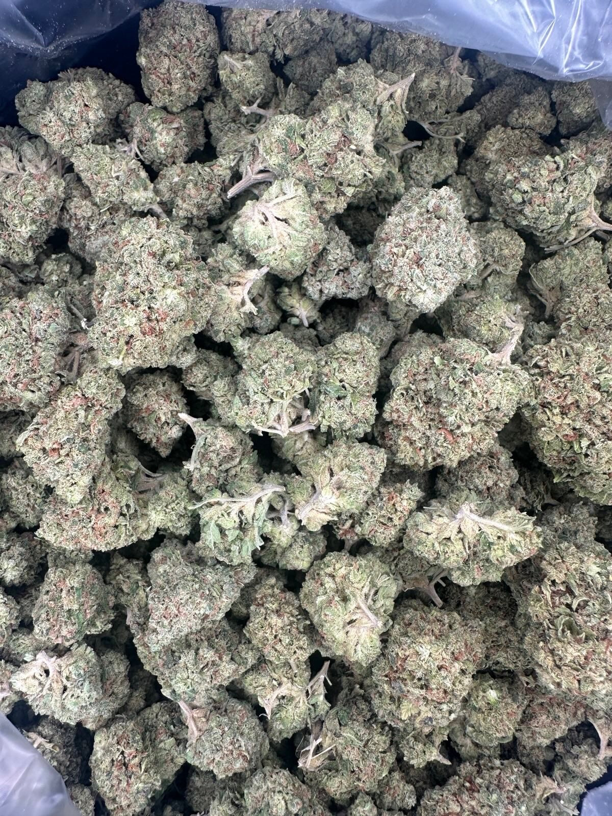 Columbia River - Hybrid