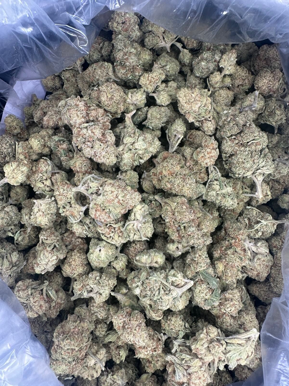 Perfect Pair - Hybrid