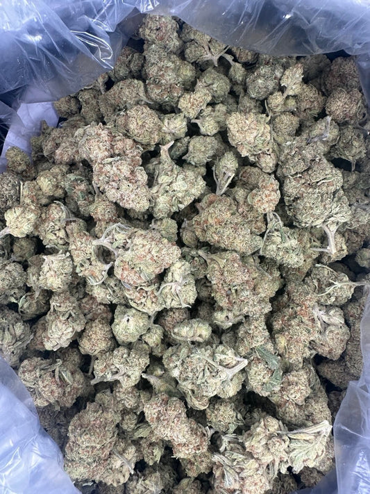 Perfect Pair - Hybrid